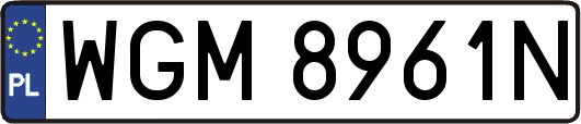 WGM8961N