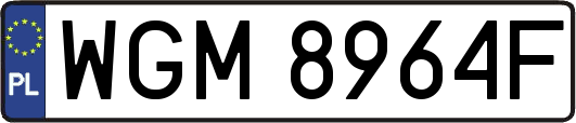 WGM8964F