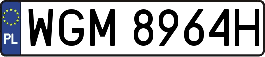 WGM8964H