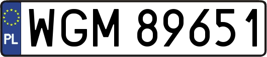 WGM89651