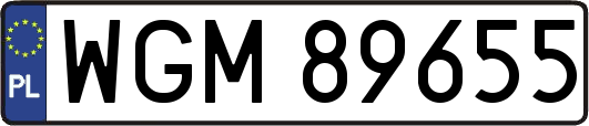 WGM89655