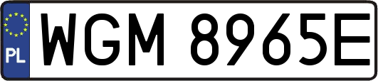 WGM8965E