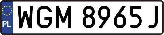 WGM8965J