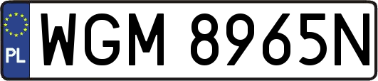 WGM8965N