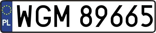 WGM89665