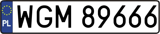 WGM89666