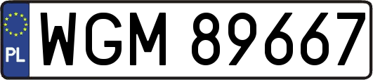 WGM89667
