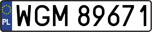 WGM89671