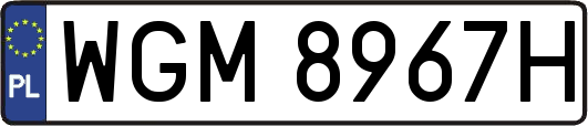 WGM8967H