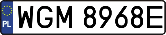 WGM8968E