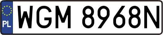 WGM8968N