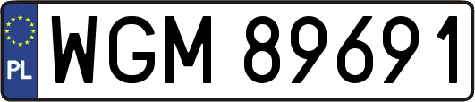 WGM89691