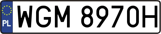 WGM8970H