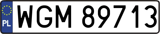 WGM89713