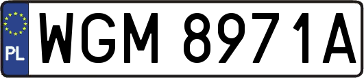 WGM8971A