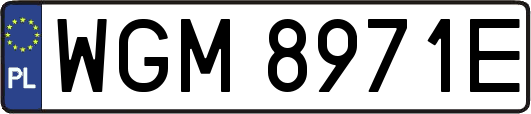 WGM8971E