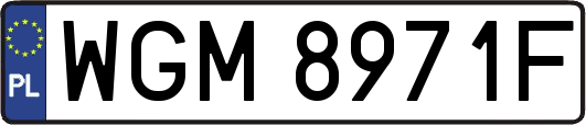 WGM8971F