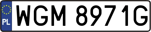 WGM8971G