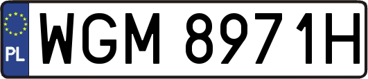 WGM8971H