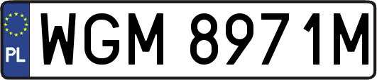 WGM8971M