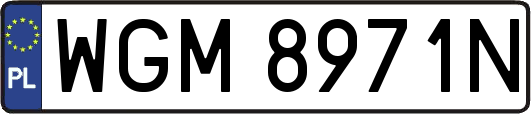 WGM8971N