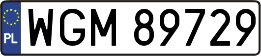 WGM89729