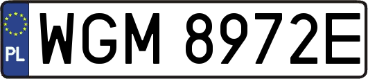 WGM8972E