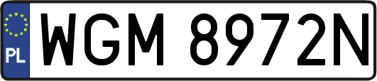 WGM8972N