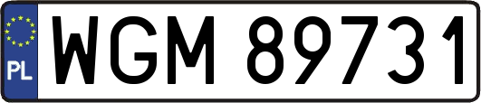 WGM89731