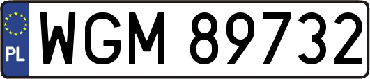WGM89732