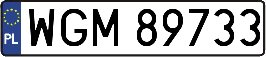 WGM89733