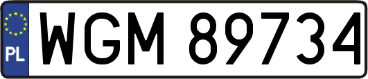 WGM89734