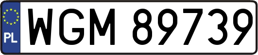 WGM89739