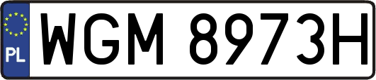 WGM8973H