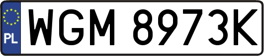 WGM8973K