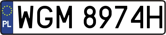 WGM8974H