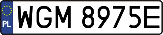 WGM8975E