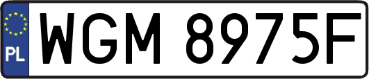 WGM8975F