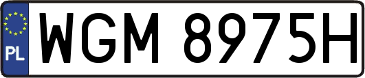WGM8975H