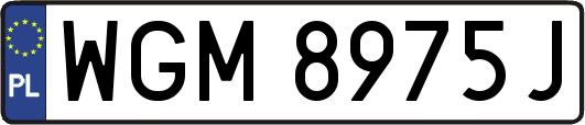 WGM8975J