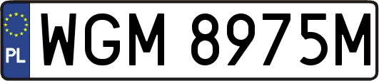 WGM8975M
