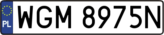 WGM8975N