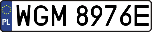 WGM8976E
