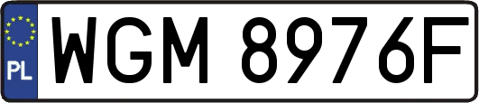 WGM8976F