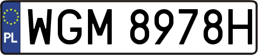 WGM8978H