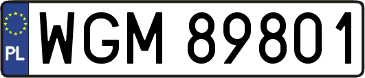 WGM89801