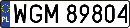 WGM89804