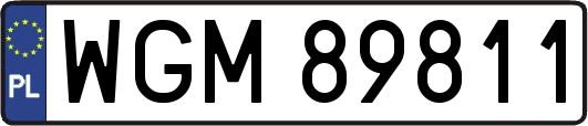 WGM89811