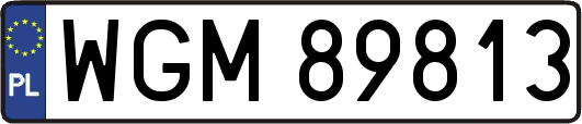 WGM89813
