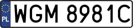 WGM8981C